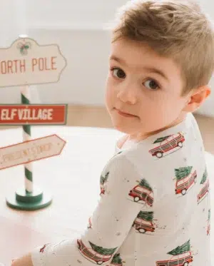 Petit Lem - Christmas Truck 2pc