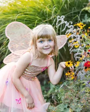GP- Butterfly Bliss Wings (Peach)
