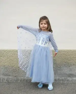GP- Winter Princess 3-4y